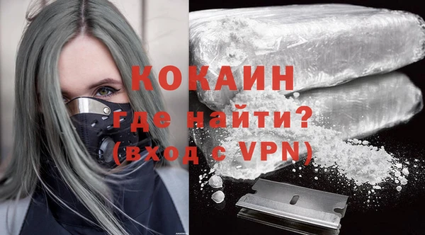 гашик Дмитров