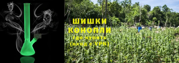 гашик Дмитров