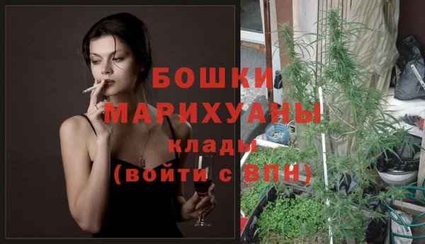 гашик Дмитров