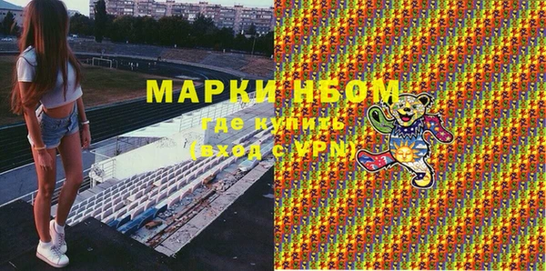 гашик Дмитров