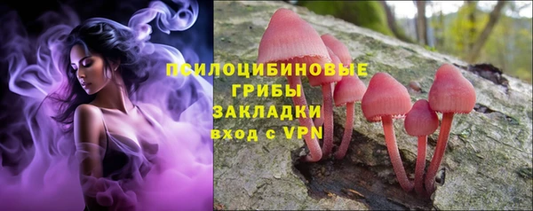 гашик Дмитров