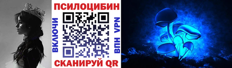 где купить наркоту  Новочебоксарск  Псилоцибиновые грибы Cubensis 
